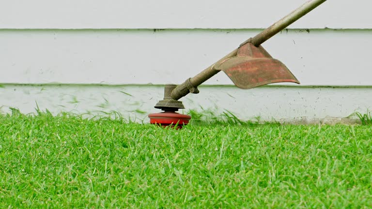 Best Lawn Fertilization  in USA